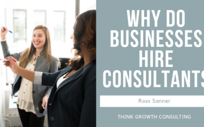 Why do Companies Hire Consultants?