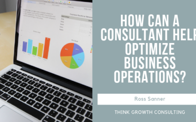 How Can a Consultant Help Optimize Business Operations?