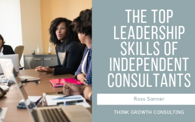 The Top Leadership Skills of Independent Consultants