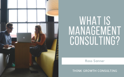 What is Management Consulting?